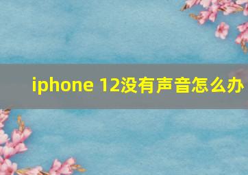 iphone 12没有声音怎么办